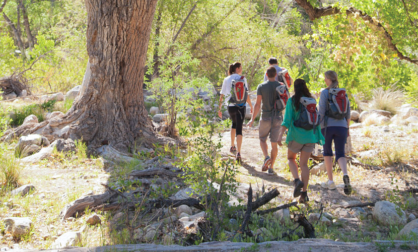 Canyon Ranch, Tucson