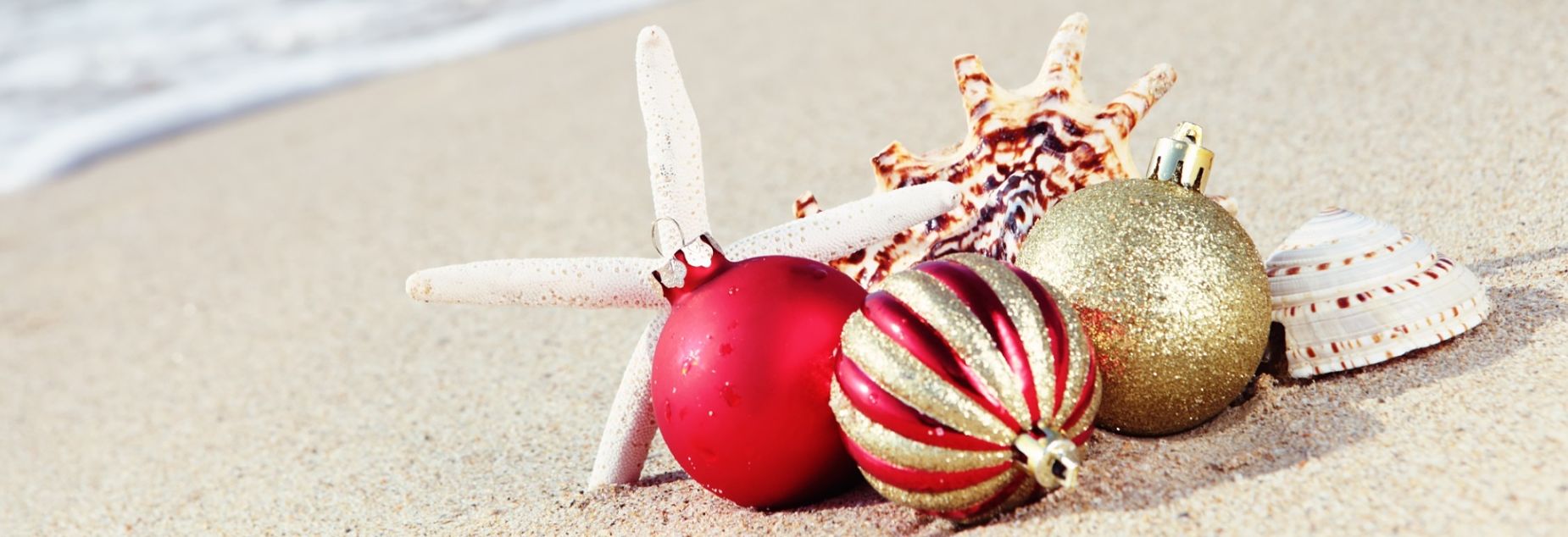 Seasonal Holidays
